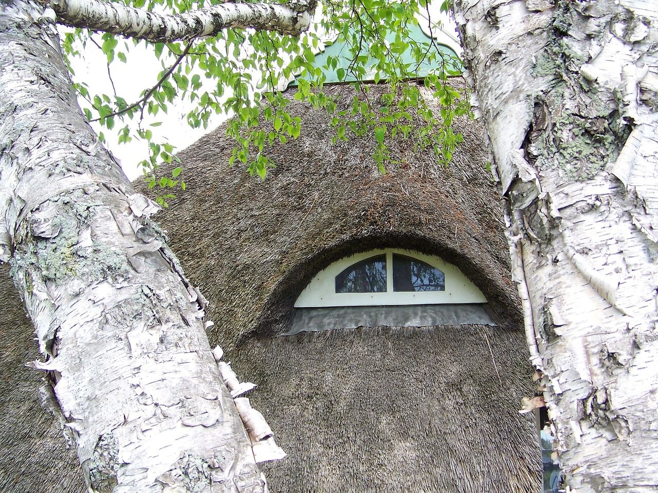 Rewitalizacja zabytkowych budynków z pomocą naturalnych farb i tynków