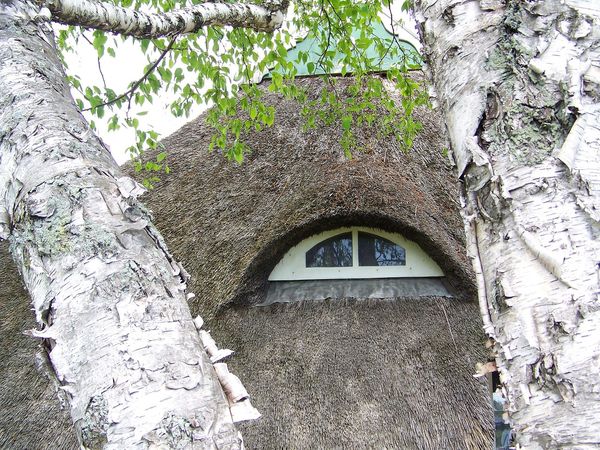 Rewitalizacja zabytkowych budynków z pomocą naturalnych farb i tynków